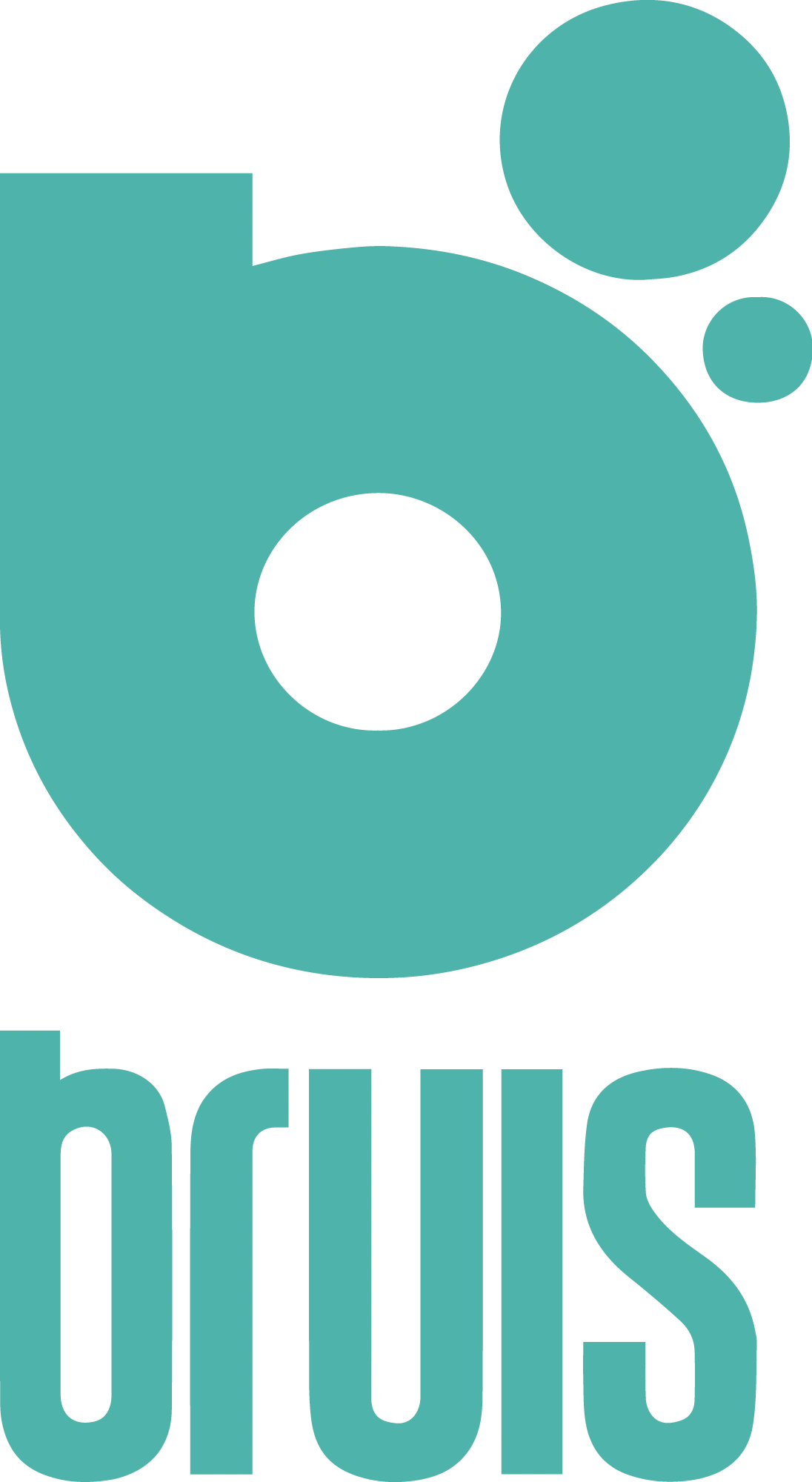 Bruis IT